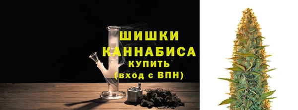 дживик Усинск