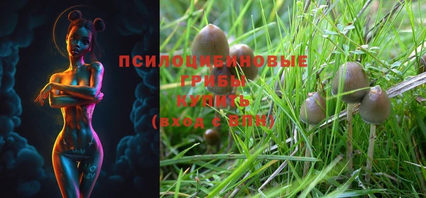 дживик Усинск