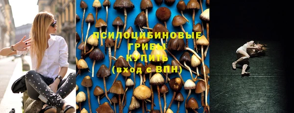 дживик Усинск