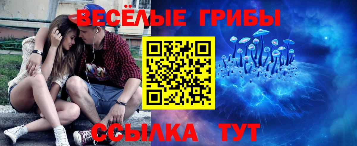 Галлюциногенные грибы ЛСД  Вход с VPN  Чистополь  Псилоцибиновые грибы GOLDEN TEACHER 